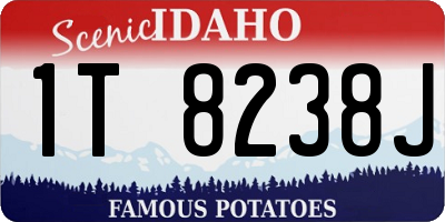 ID license plate 1T8238J