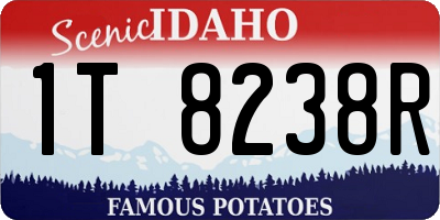ID license plate 1T8238R
