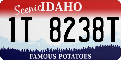 ID license plate 1T8238T