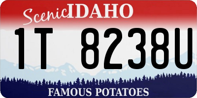 ID license plate 1T8238U