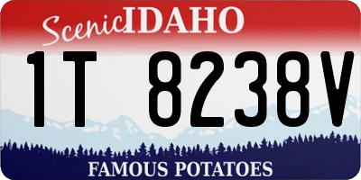 ID license plate 1T8238V