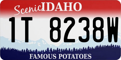 ID license plate 1T8238W