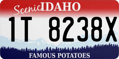 ID license plate 1T8238X