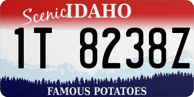 ID license plate 1T8238Z