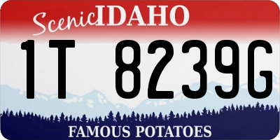 ID license plate 1T8239G