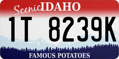 ID license plate 1T8239K