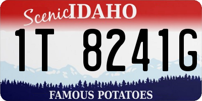 ID license plate 1T8241G