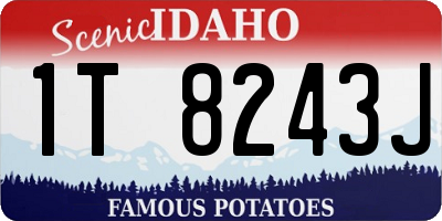 ID license plate 1T8243J