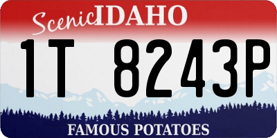 ID license plate 1T8243P