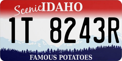ID license plate 1T8243R