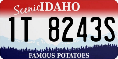 ID license plate 1T8243S