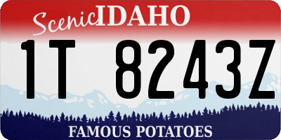 ID license plate 1T8243Z