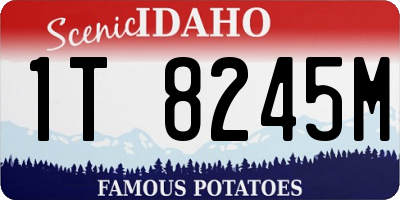 ID license plate 1T8245M