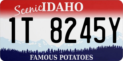 ID license plate 1T8245Y