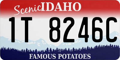 ID license plate 1T8246C