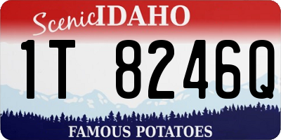 ID license plate 1T8246Q