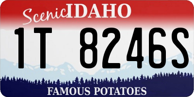 ID license plate 1T8246S