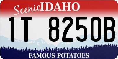 ID license plate 1T8250B