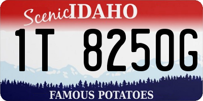ID license plate 1T8250G