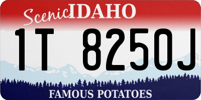 ID license plate 1T8250J