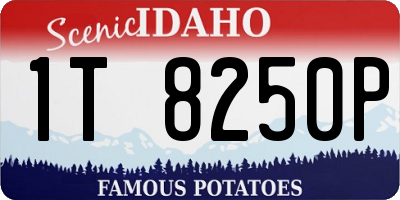 ID license plate 1T8250P