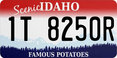 ID license plate 1T8250R