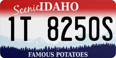 ID license plate 1T8250S