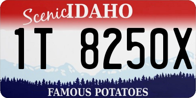 ID license plate 1T8250X
