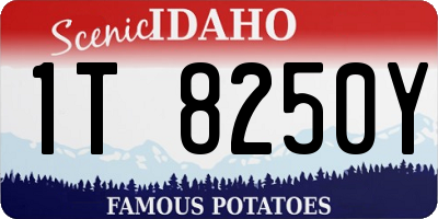 ID license plate 1T8250Y