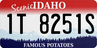ID license plate 1T8251S