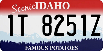 ID license plate 1T8251Z