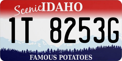ID license plate 1T8253G