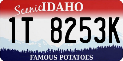 ID license plate 1T8253K