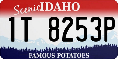 ID license plate 1T8253P