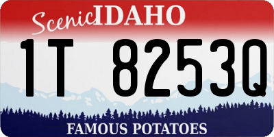 ID license plate 1T8253Q