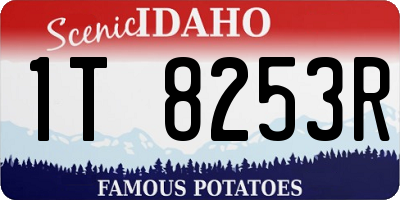 ID license plate 1T8253R