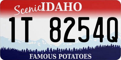 ID license plate 1T8254Q