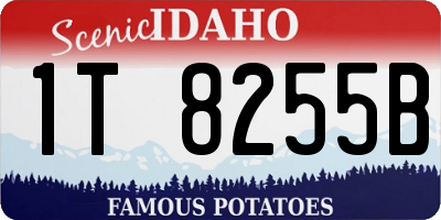 ID license plate 1T8255B