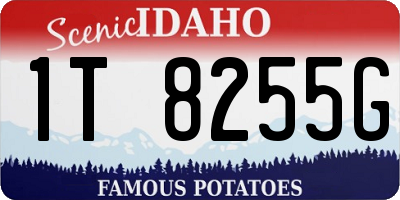 ID license plate 1T8255G