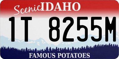 ID license plate 1T8255M