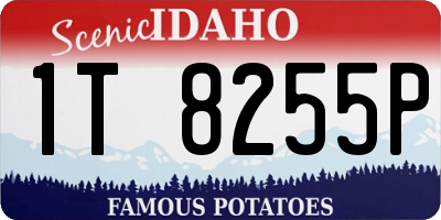 ID license plate 1T8255P