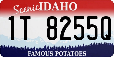 ID license plate 1T8255Q