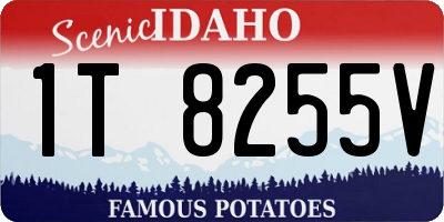 ID license plate 1T8255V