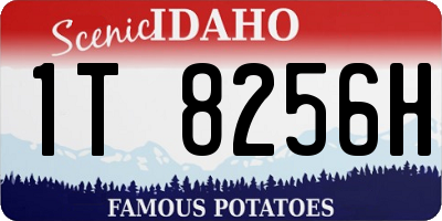 ID license plate 1T8256H