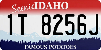 ID license plate 1T8256J