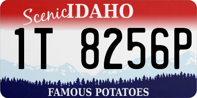 ID license plate 1T8256P