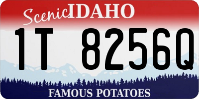 ID license plate 1T8256Q