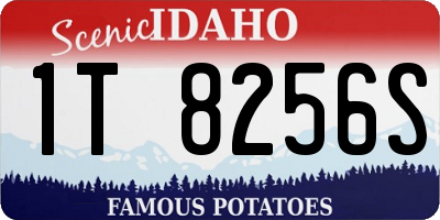 ID license plate 1T8256S