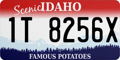 ID license plate 1T8256X