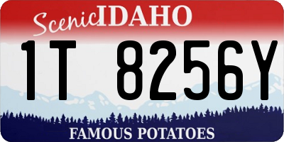ID license plate 1T8256Y